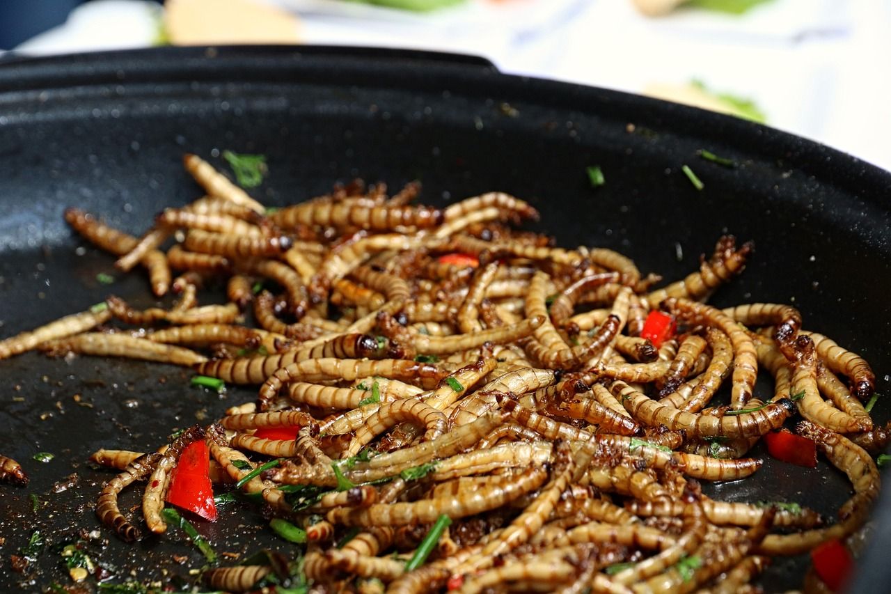 Kulinarne odkrycia: owady w twojej kuchni