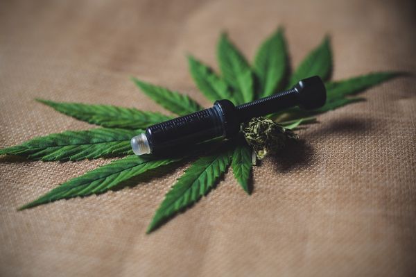Jak naturalne produkty mogą wspomóc zdrowie naszych czworonożnych przyjaciół